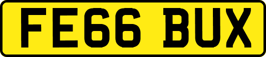 FE66BUX