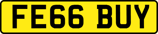 FE66BUY