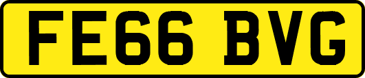 FE66BVG