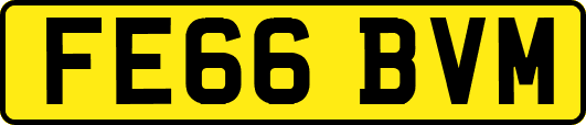 FE66BVM