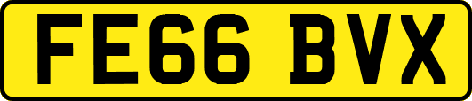 FE66BVX