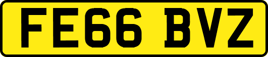 FE66BVZ