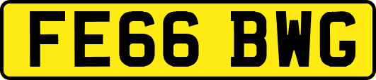 FE66BWG