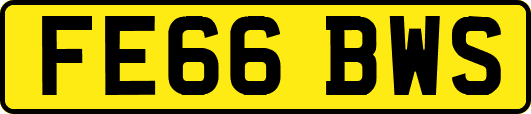 FE66BWS