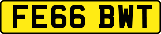 FE66BWT