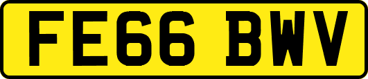 FE66BWV