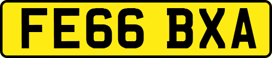 FE66BXA