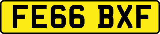FE66BXF