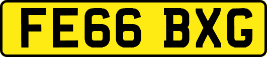 FE66BXG