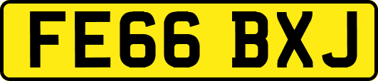 FE66BXJ