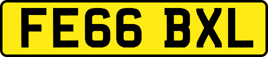FE66BXL