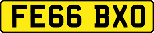 FE66BXO