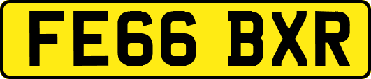 FE66BXR