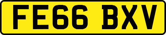 FE66BXV