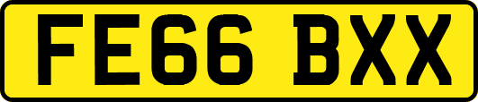 FE66BXX