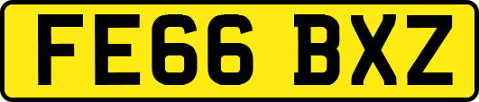 FE66BXZ