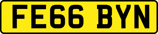 FE66BYN