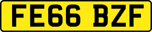 FE66BZF