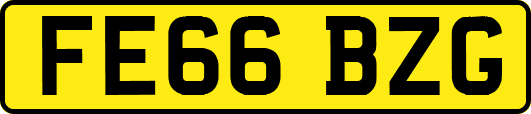 FE66BZG