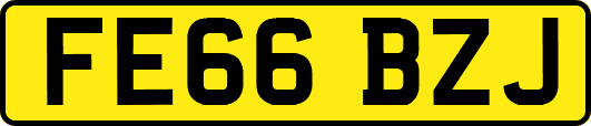 FE66BZJ