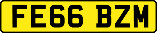 FE66BZM