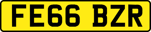 FE66BZR