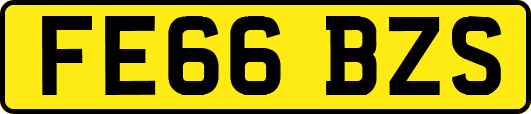 FE66BZS