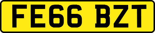 FE66BZT