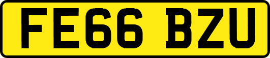 FE66BZU