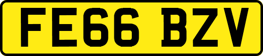 FE66BZV