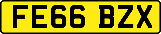 FE66BZX