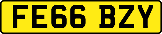FE66BZY