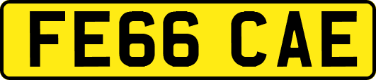 FE66CAE