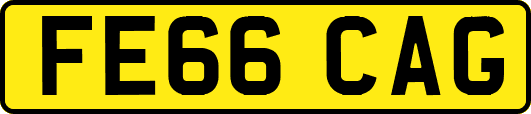 FE66CAG