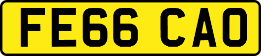FE66CAO
