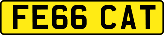 FE66CAT
