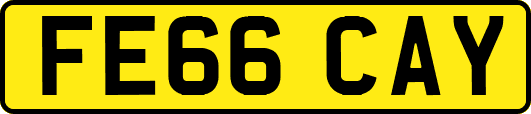 FE66CAY