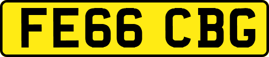 FE66CBG