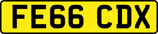 FE66CDX