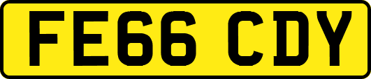 FE66CDY