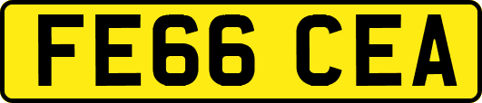 FE66CEA