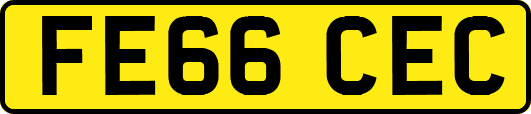 FE66CEC