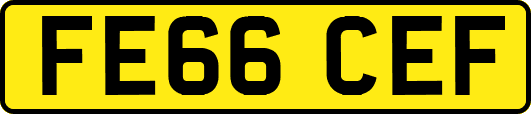 FE66CEF