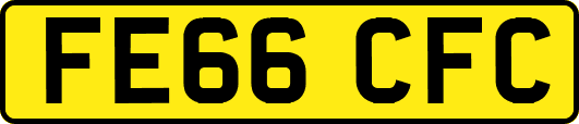 FE66CFC