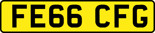 FE66CFG