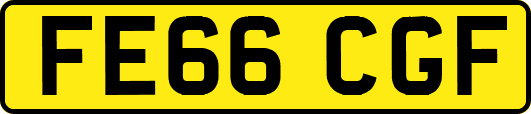 FE66CGF