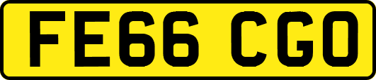 FE66CGO