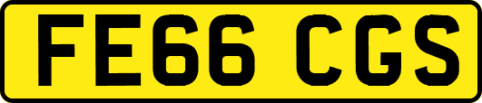 FE66CGS