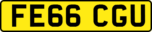FE66CGU