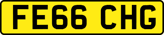 FE66CHG